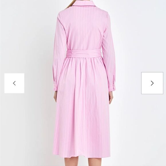 English Factory Striped Shirt Maxi Dress size 2X pink plus size NWTs Anthro - Picture 3 of 12